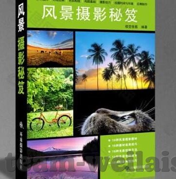 02年世界杯中国大名单-2002年世界杯中国大名单，回顾与反思